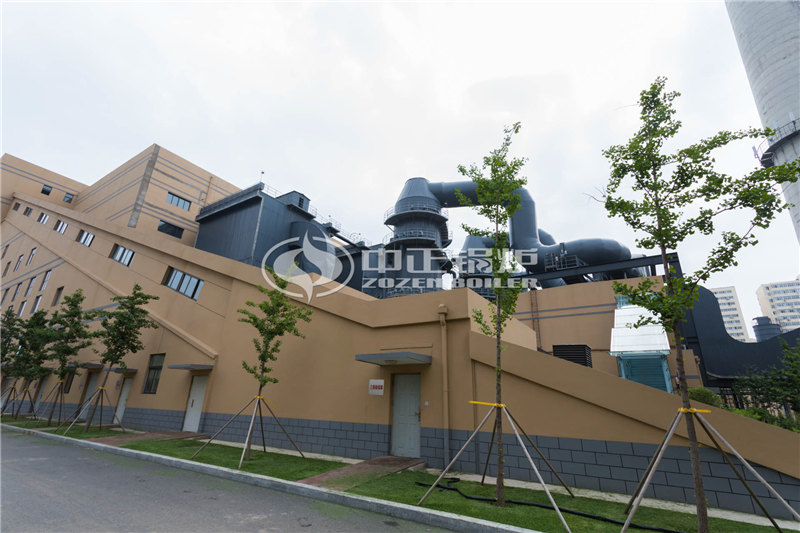 丽水二十吨上海燃煤锅炉改造