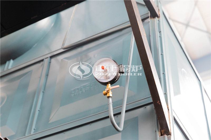 辽源15吨上海燃煤锅炉改造